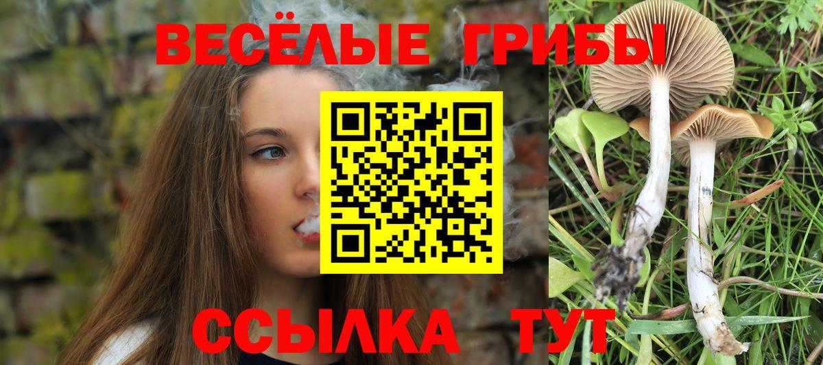Фурманов  Галлюциногенные грибы Psilocybine cubensis  Вход с VPN  Псилоцибиновые грибы мицелий 