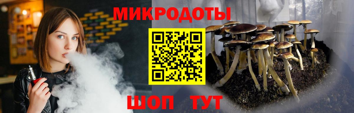 Галлюциногенные грибы Psilocybe Фурманов